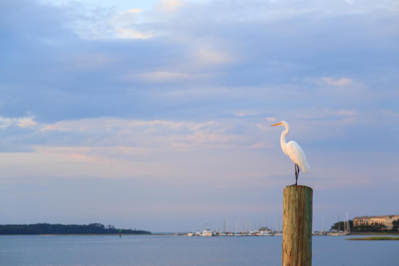 Breakers 215 Daire Hilton Head Island Dış mekan fotoğraf