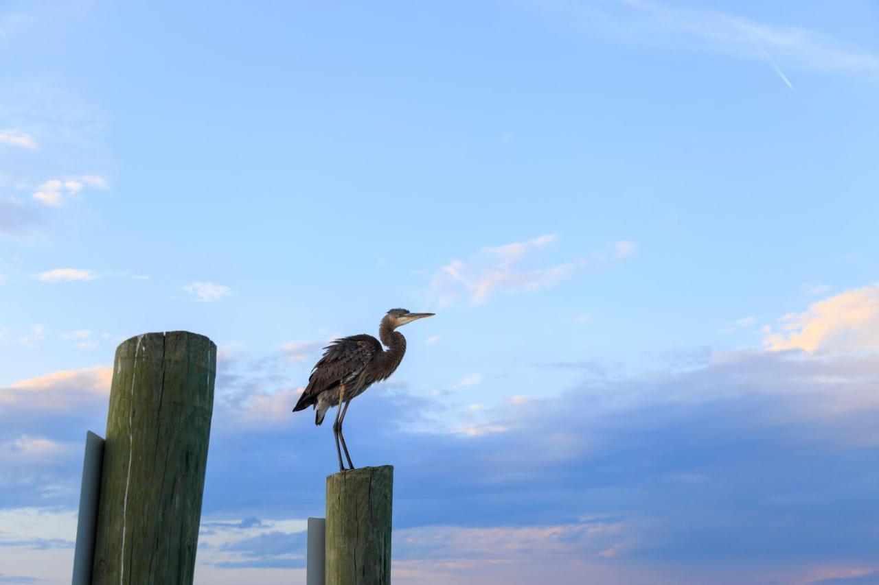 Breakers 215 Daire Hilton Head Island Dış mekan fotoğraf